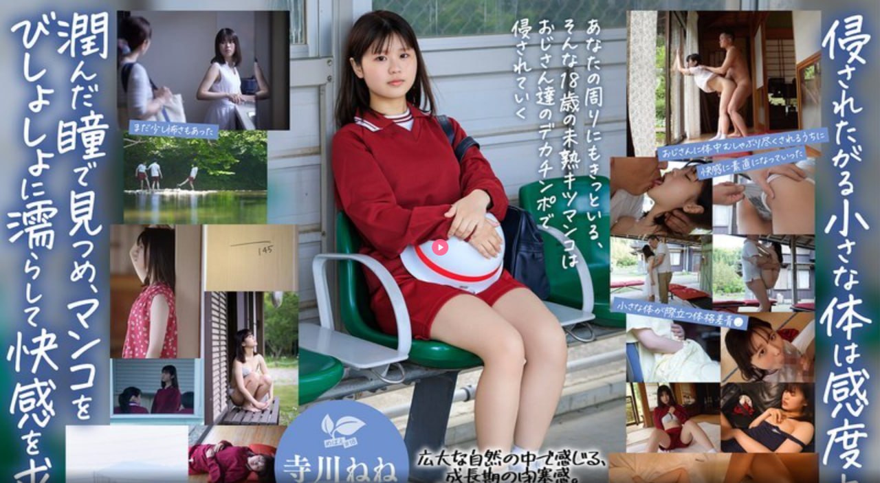 污污又黄又爽免费的网站官方版_免费高清全集免费观看18🈲